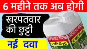खरपतवार’ से 6 महीने तक निजात; एक स्प्रे और आधा साल खेत रहेगा साफ