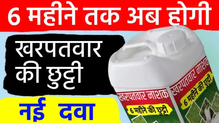 खरपतवार’ से 6 महीने तक निजात; एक स्प्रे और आधा साल खेत रहेगा साफ